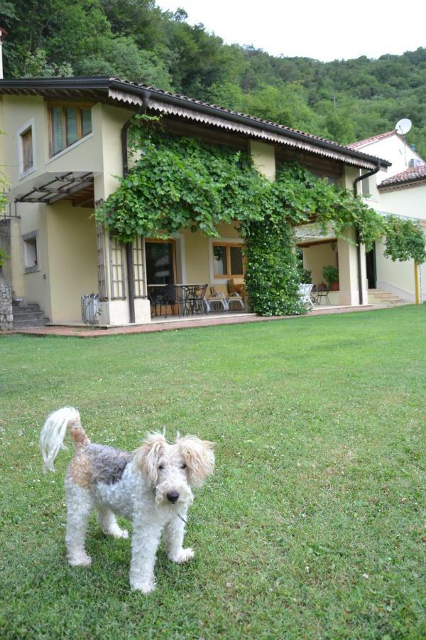 B&B Ca' Dell'Ortolan Villaga Exterior photo